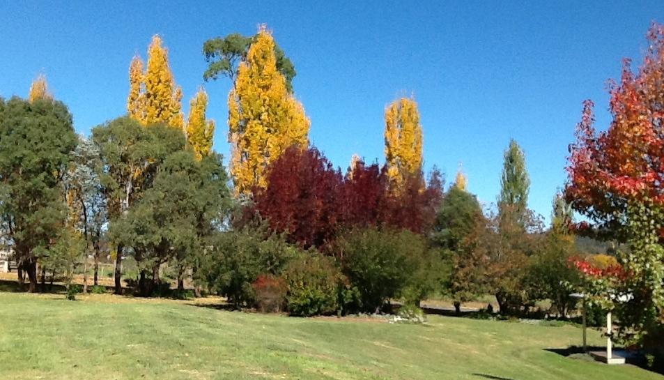 Glen Waverly Farmstay เกลน อินเนส ห้อง รูปภาพ